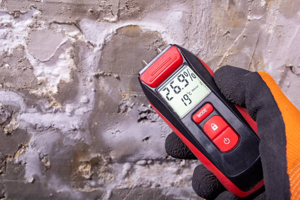Professional Mold Removal in Cambrian Park, CA